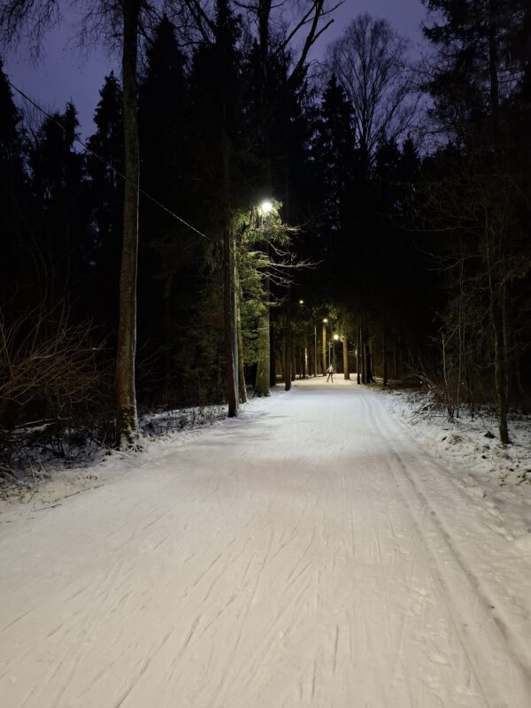 Трасса лыжероллерная Зеленоград Савелки, состояние на 20 декабря 2025 по отзыву, фото 6. 